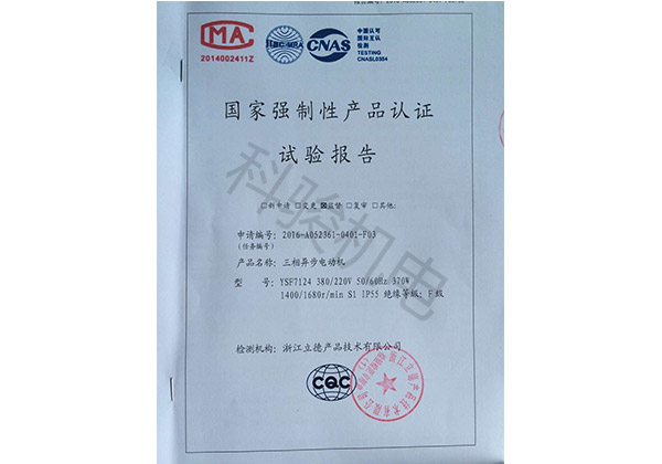 國家強(qiáng)制性認(rèn)證試驗(yàn)報(bào)告：三相異步電動(dòng)機(jī)