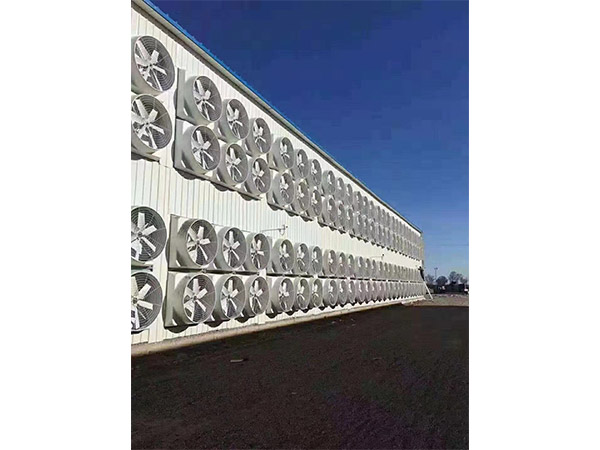 1460塑鋼負壓排風(fēng)機1260玻璃鋼負壓排風(fēng)機
