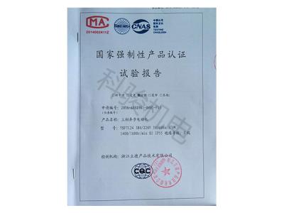 國家強(qiáng)制性認(rèn)證試驗(yàn)報(bào)告：三相異步電動(dòng)機(jī)