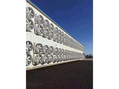 1460塑鋼負壓排風(fēng)機1260玻璃鋼負壓排風(fēng)機